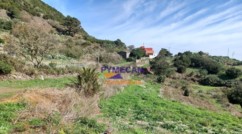 Santa Cruz de Tenerife - San Cristóbal de La Laguna - 29000m2