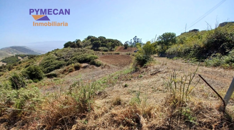Santa Cruz de Tenerife - San Cristóbal de La Laguna - 29000m2