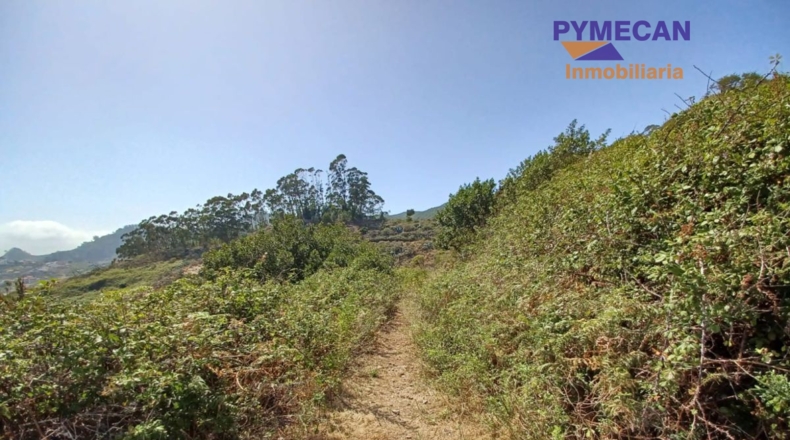 Santa Cruz de Tenerife - San Cristóbal de La Laguna - 29000m2