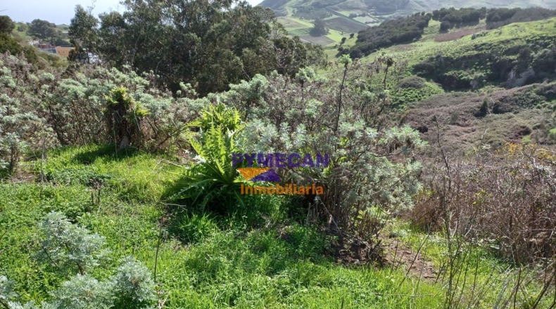 Santa Cruz de Tenerife - San Cristóbal de La Laguna - 29000m2
