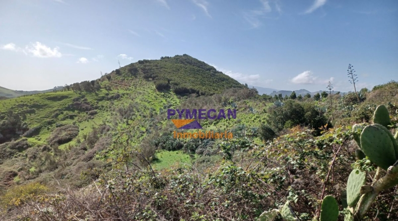 Santa Cruz de Tenerife - San Cristóbal de La Laguna - 29000m2
