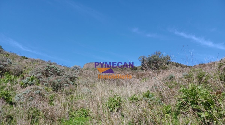 Santa Cruz de Tenerife - San Cristóbal de La Laguna - 29000m2