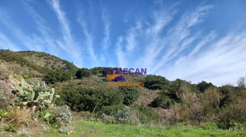 Santa Cruz de Tenerife - San Cristóbal de La Laguna - 29000m2
