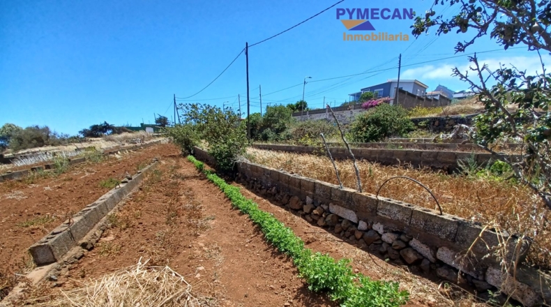 Santa Cruz de Tenerife - San Cristóbal de La Laguna - 2053m2