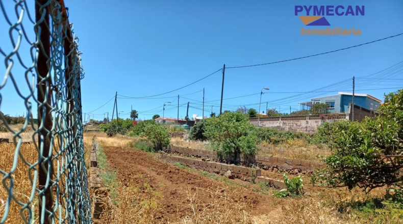 Santa Cruz de Tenerife - San Cristóbal de La Laguna - 2053m2