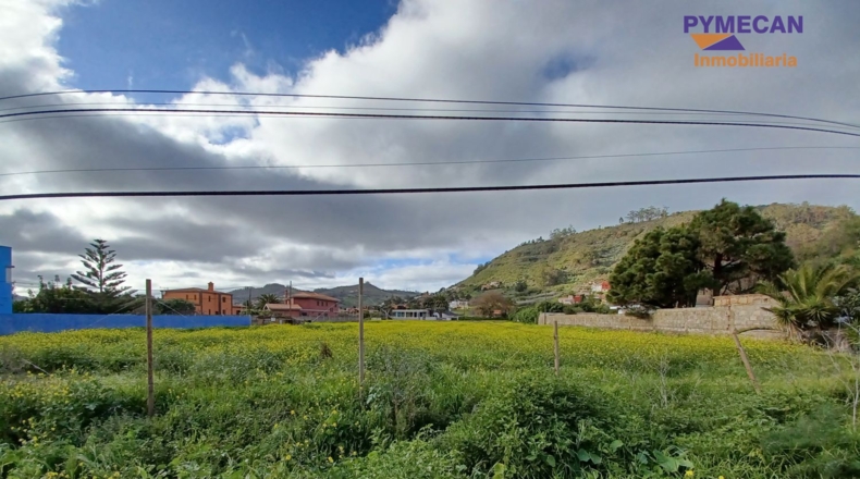 Santa Cruz de Tenerife - San Cristóbal de La Laguna - 3865m2