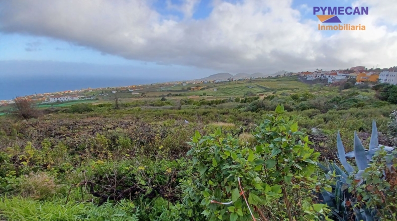 Санта-Крус-де-Тенерифе - El Calvario - 24241m2