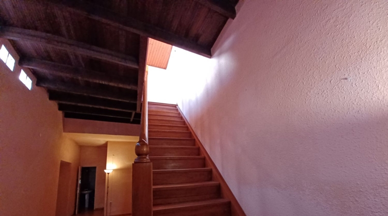 Santa Creu de Tenerife - Arafo - 389m2