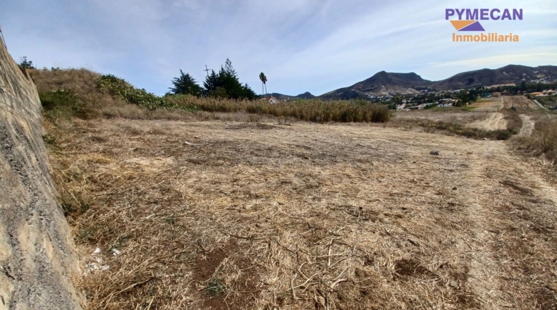 Santa Cruz de Tenerife - San Cristóbal de La Laguna - 5168m2