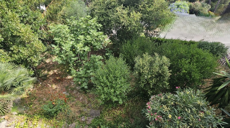 Barcelona - Corbera de Llobregat - 1850m2
