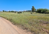 Non-developable land for sale in Gibraleón ref: TR99435 photo
