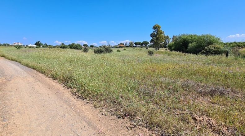 Huelva - Gibraleón - 40741m2