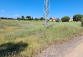 Non-developable land for sale in Gibraleón ref: TR99435 photo
