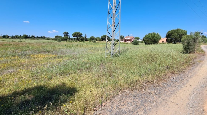 Huelva - Gibraleón - 40741m2