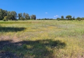 Non-developable land for sale in Gibraleón ref: TR99435 photo