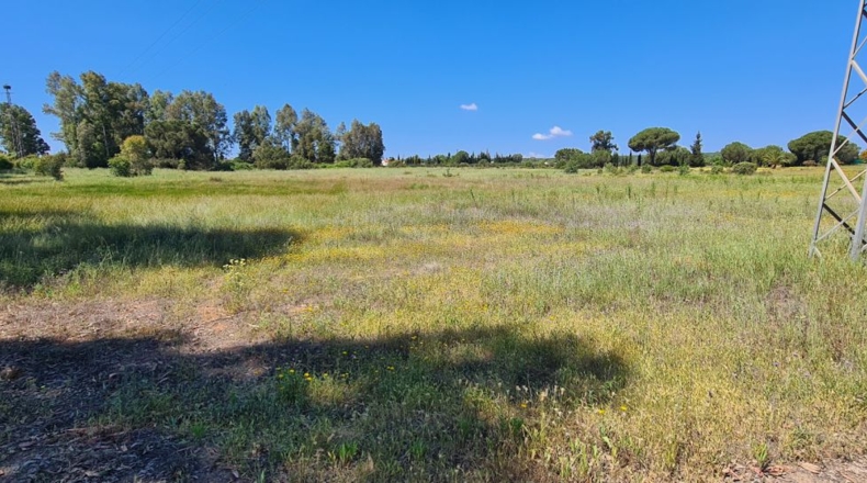 Huelva - Gibraleón - 40741m2