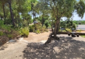 Rural estate for sale in Valverde del Camino ref: TR287072 photo