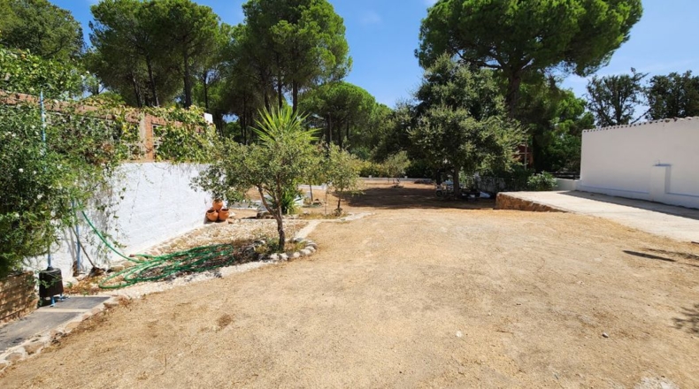 Huelva - Valverde del Camino - 2334m2