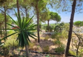 Rural estate for sale in Valverde del Camino ref: TR287072 photo