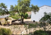 Rural estate for sale in Valverde del Camino ref: TR287072 photo