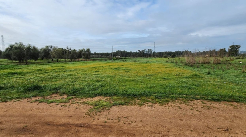 Huelva - Gibraleón - 250m2