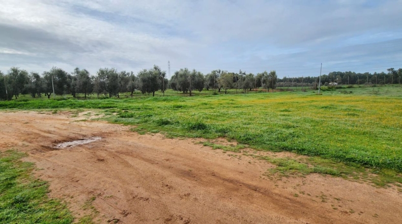 Huelva - Gibraleón - 250m2