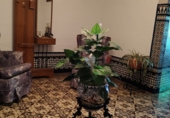 Detached villa with land for sale in Gibraleón ref: TR254573 photo