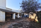 Detached villa with land for sale in Gibraleón ref: TR254573 photo