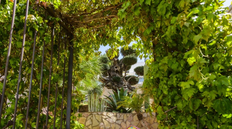 Castellón - Oropesa del Mar - 535m2