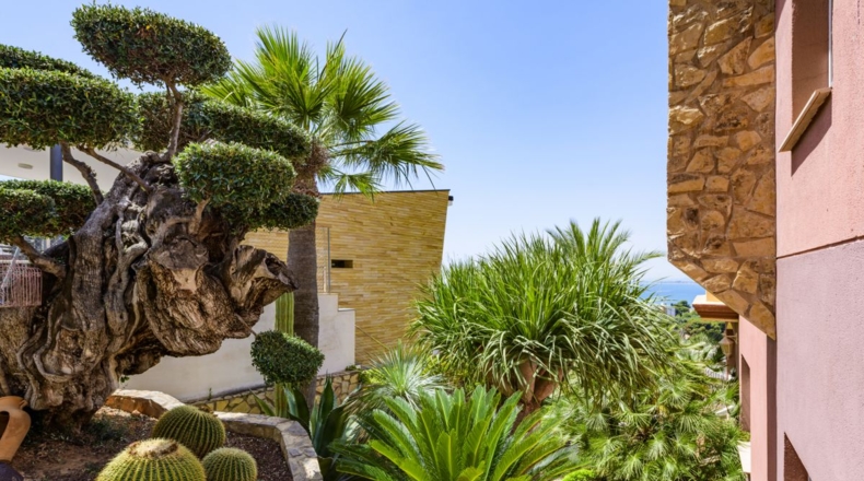 Castellón - Oropesa del Mar - 535m2