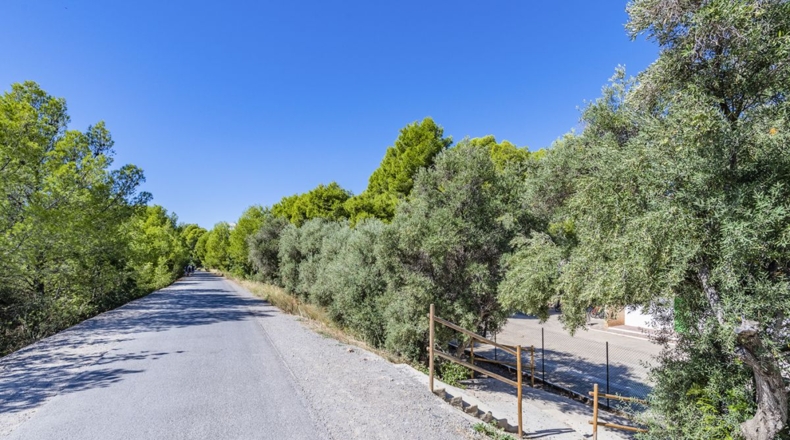 Castellón - Las Playetas - 1054m2