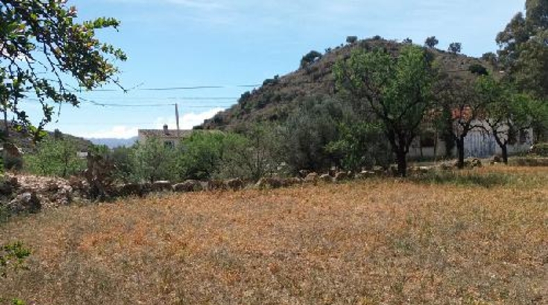 Almería - Los Pinos - 770m2