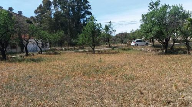 Almería - Los Pinos - 770m2