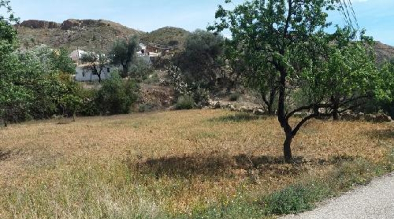 Almería - Los Pinos - 770m2