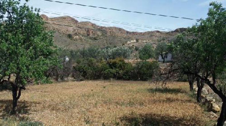 Almería - Los Pinos - 770m2