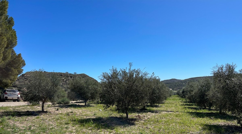 Almería - Sorbas - 39000m2