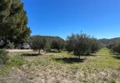 Terreny no urbanitzable en venda a la España, Sorbas, ref.: TR252989 foto