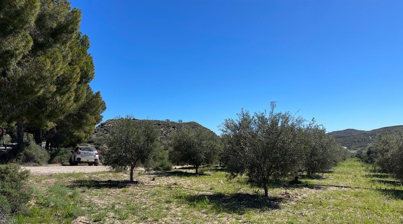 Almería - Sorbas - 39000m2