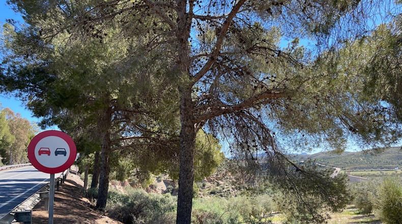 Almería - Sorbas - 39000m2