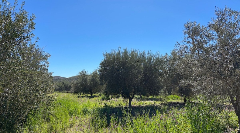 Almería - Sorbas - 39000m2