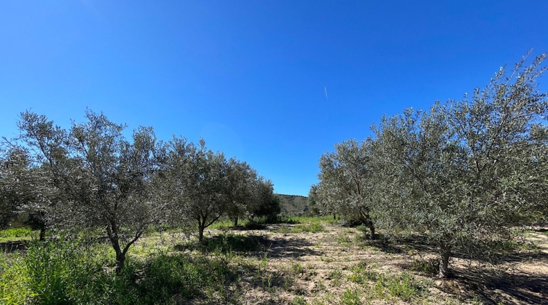 Almería - Sorbas - 39000m2