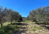 Terreny no urbanitzable en venda a la España, Sorbas, ref.: TR252989 foto