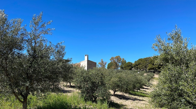 Almería - Sorbas - 39000m2