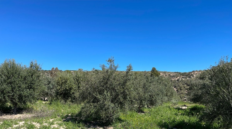 Almería - Sorbas - 39000m2