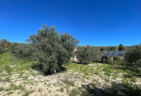 Foto 16