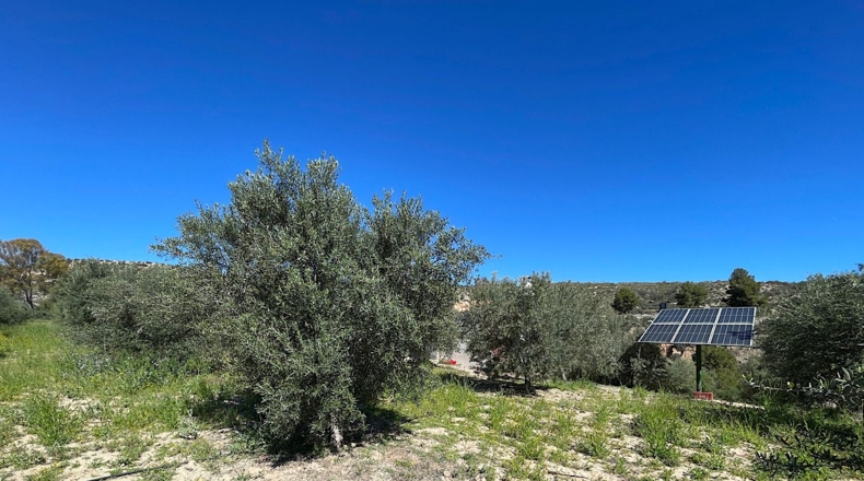 Almería - Sorbas - 39000m2