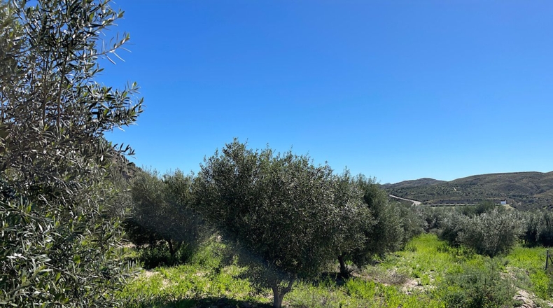 Almería - Sorbas - 39000m2