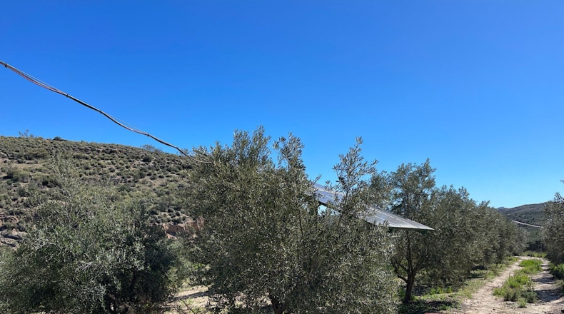 Almería - Sorbas - 39000m2