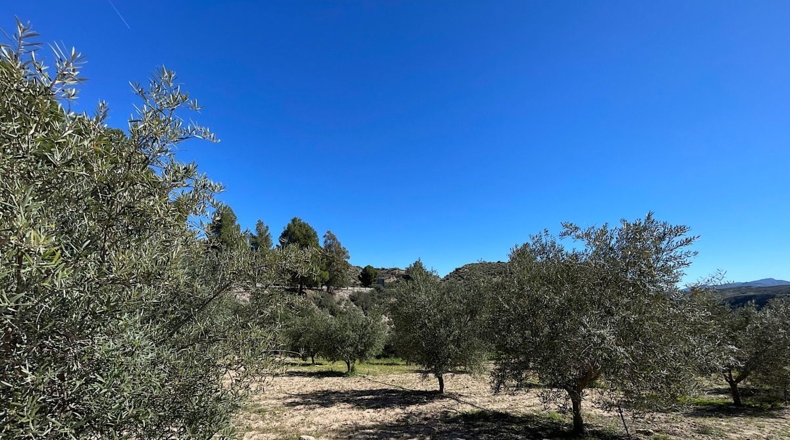 Almería - Sorbas - 39000m2
