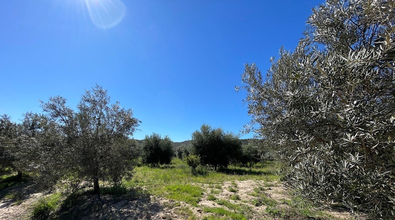 Almería - Sorbas - 39000m2